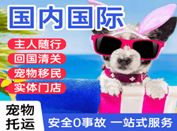 龙嘉航空货运国际宠物托运 【国